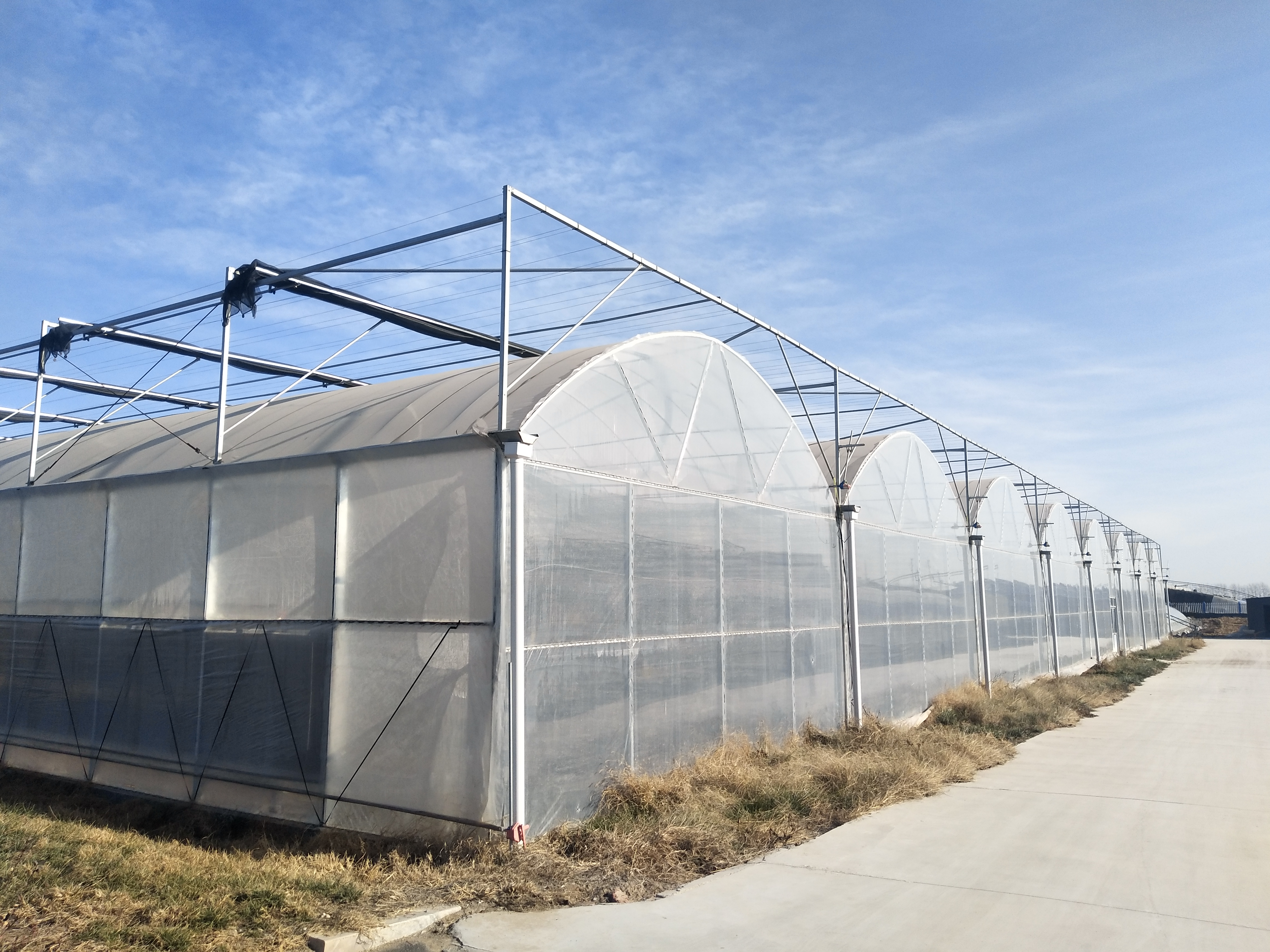 薄膜连栋温室 - 我的网站